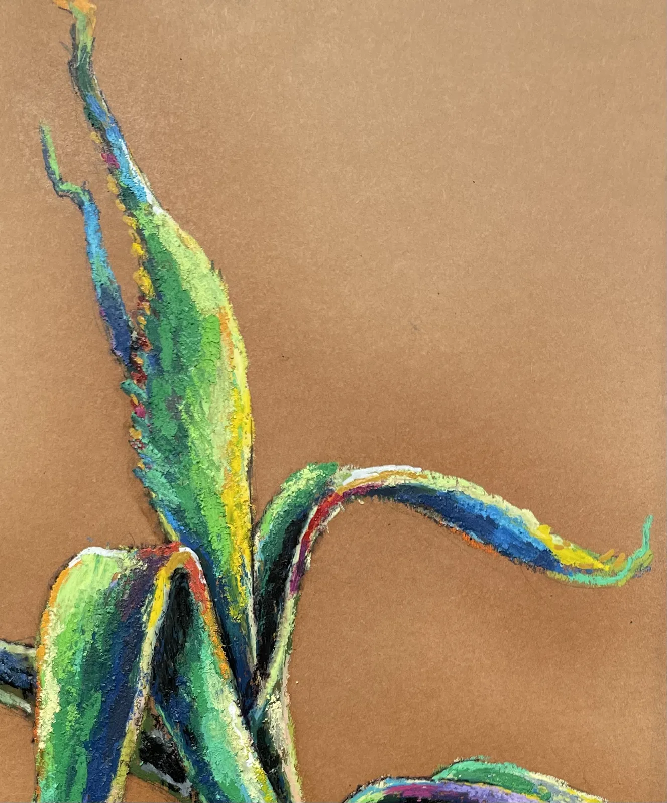 Aloe tears the boundaries of existence (2024)