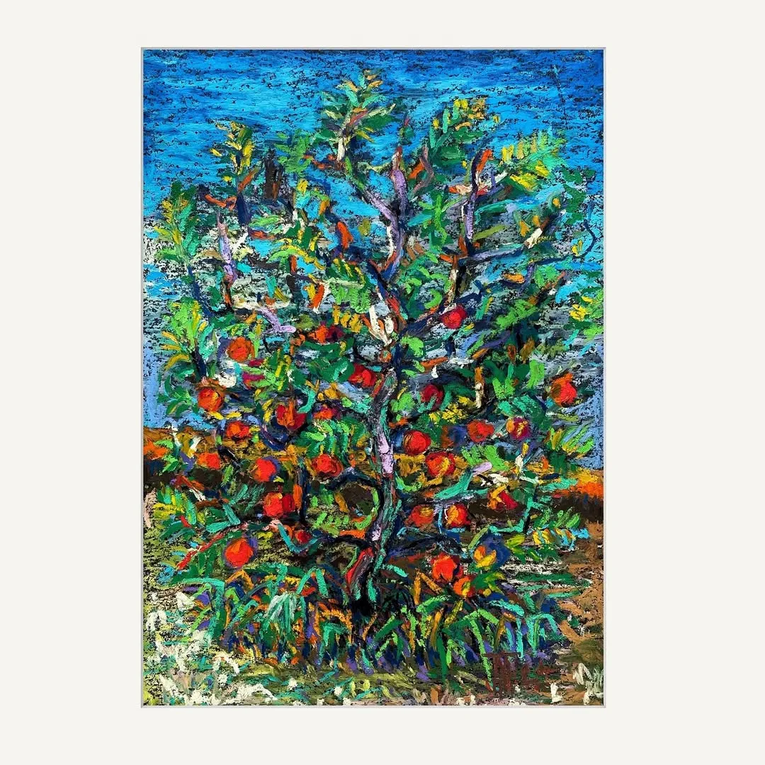 Autumn apple tree with fruits (2024)