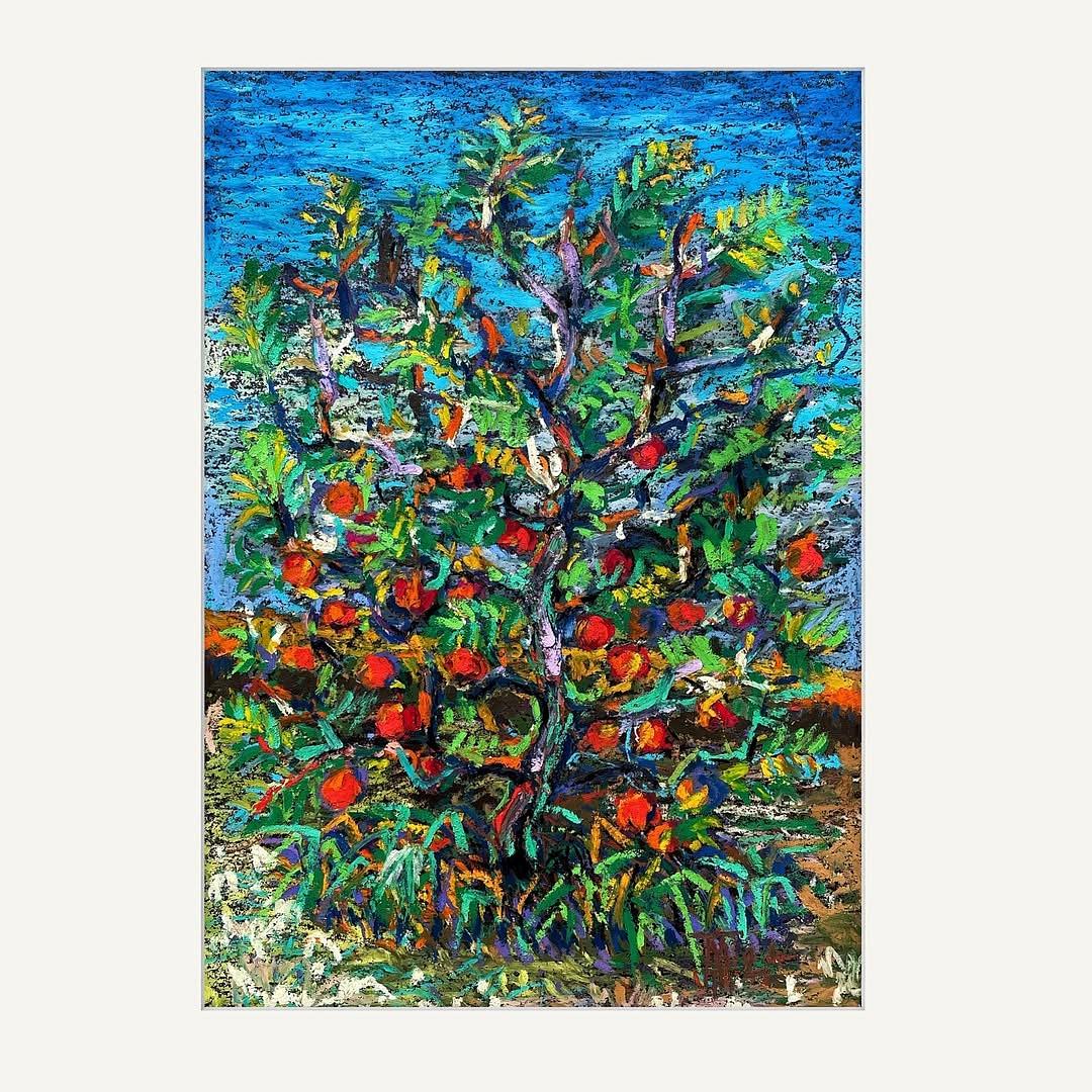 Autumn apple tree with fruits
