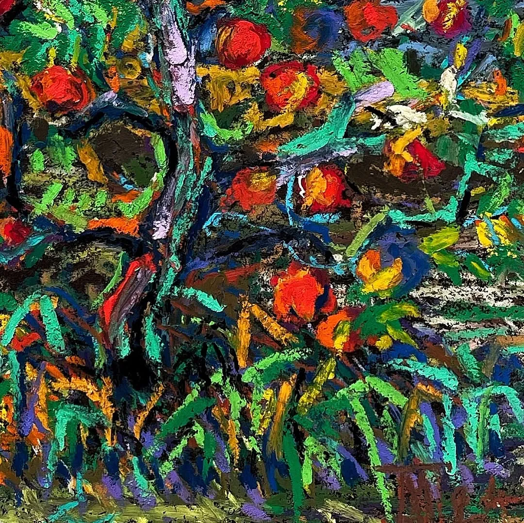 Autumn apple tree with fruits (2024)