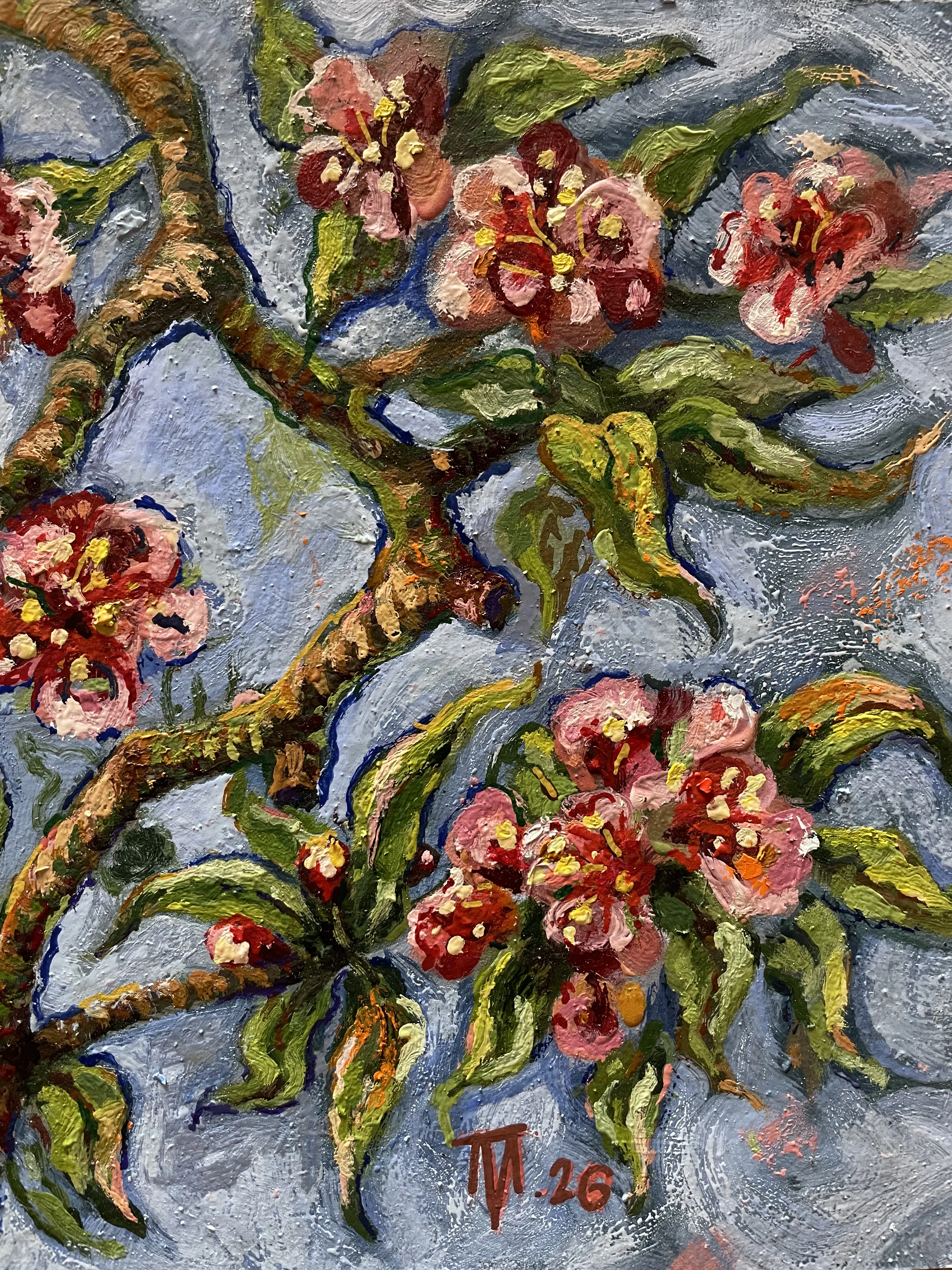 "Apple Blossom"  (2026)